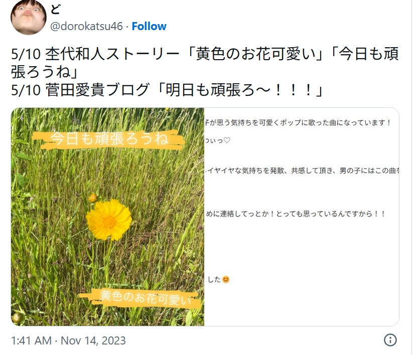 杢代和人の匂わせに関するX