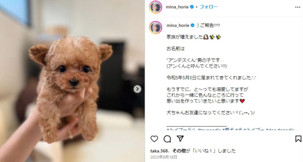 堀江聖夏のインスタグラム